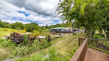 Nutting House - Accommodation, Conferences & Functions