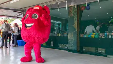 Nutting House - Accommodation, Conferences & Functions